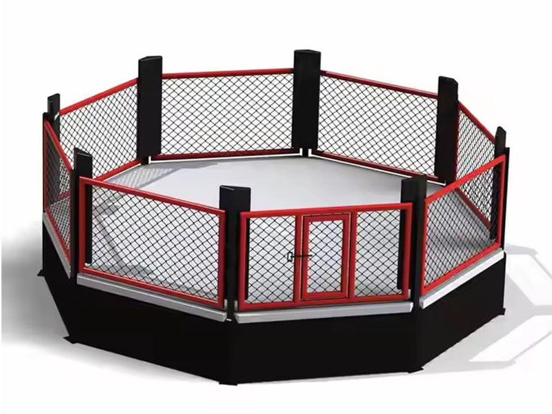 Apa Sebenarnya Di Dalam MMA Octagon?